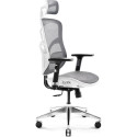 Diablo Chairs V-Basic valge ja hall tugitool