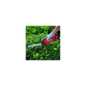 Einhell GE-CG 18/100 Li T-Solo cordless grass shear 10 cm 18 V Black, Red