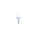 Forever Light LZE14G4510WWW LED bulb Warm white 3000 K 10 W E14 A