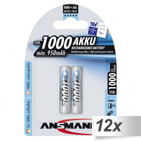 12x2 Ansmann NiMH bat. 1000 Micro AAA 950 mAh