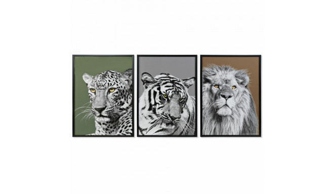 Maal DKD Home Decor 67 x 3 x 93 cm Koloniaalne Džungel (3 Tükid, osad)