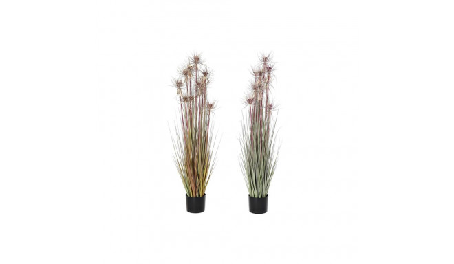 Decorative Plant DKD Home Decor Brown Polyethylene Green PVC 40 x 40 x 120 cm (2 Units)