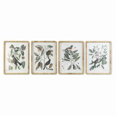 Maal DKD Home Decor 50 x 2,5 x 65 cm Shabby Chic Botaanilised taimed (4 Tükid, osad)