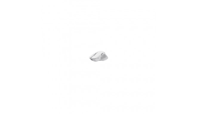 Computer mouse Trust Ozaa+ White 8713439249354