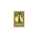 Blue Angel Celtic Tree Oracle Cards