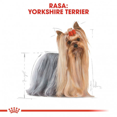 Dry Dog Food - ROYAL CANIN Yorkshire Terrier Adult 3kg