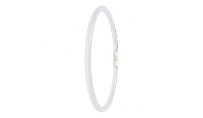 Osram LED Ringlampe T5 FC40/55 P 21,5W 830 2GX13