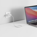 Alogic Rapid Power 65W USB-C PD kiire GaN laadija + USB-C kaabel 2m