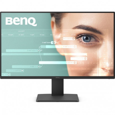BenQ GW2491