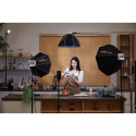 Godox ML100 Bi-color Kit 1