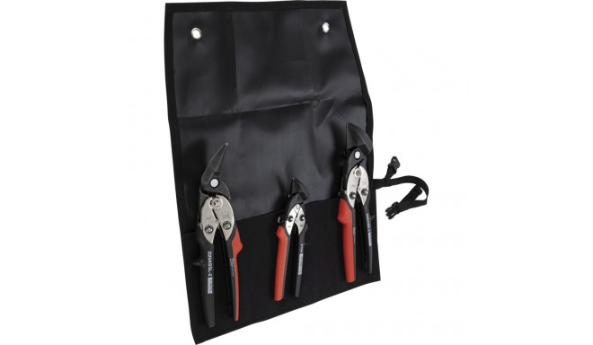 BESSEY kujuliste ja sirgete lõikekääride komplekt kotis DSET29-15