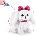 PETS ALIVE interactive puppy Paw Paw