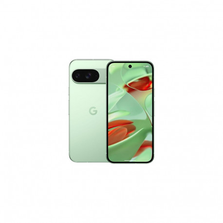 Google Pixel 9 5G Dual Sim 12GB RAM 128GB – taliroheline