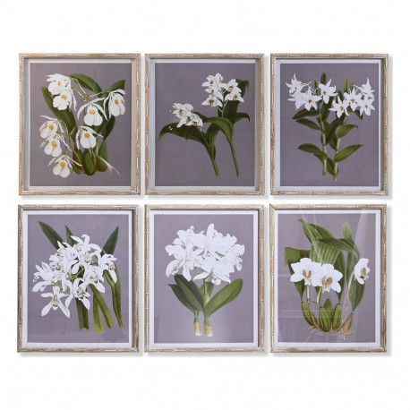 Maal DKD Home Decor Kuusk Kristall 50 x 60 x 2,8 cm 50 x 2,8 x 60 cm Kwiaty (6 Tükid, osad)