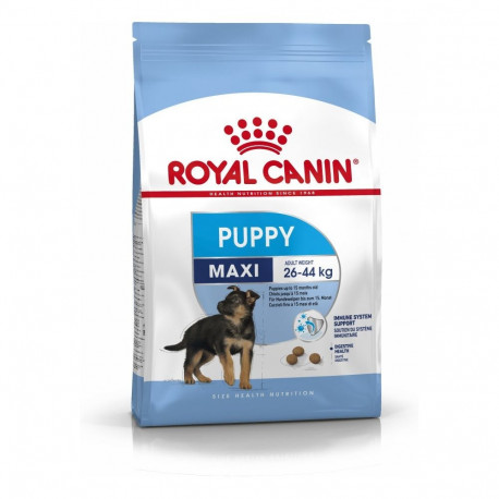 Dog Food - Royal Canin SHN Maxi Puppy 4kg Royal Canin SHN Maxi Puppy Dry Food 4kg