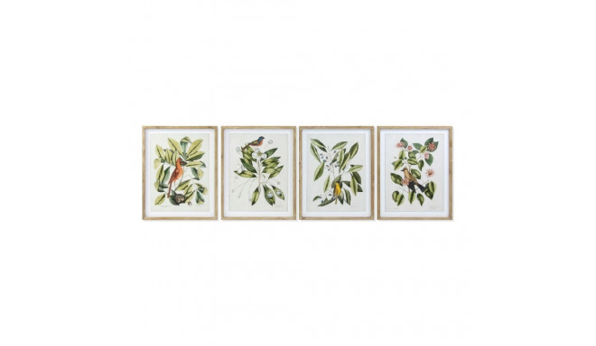 Painting DKD Home Decor Bird 55 x 2,5 x 70 cm Tropical Birds (4 Pieces)