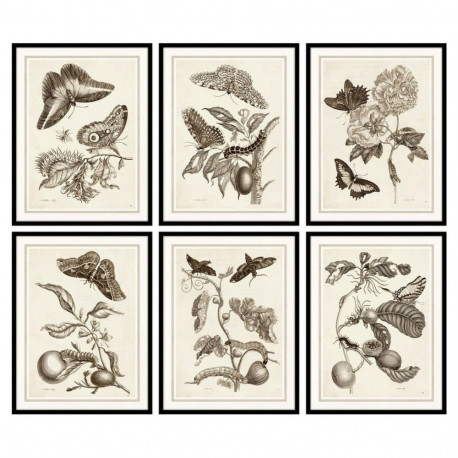 Maal DKD Home Decor 50 x 2,5 x 65 cm Kwiaty Kaasaegne (6 Tükid, osad)