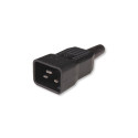 Rack 19 "rack for UPS 12 sockets, 2m black, 250V/16A