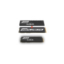 M.2 NVMe SSD - Patriot Memory VP4300 2 TB PCI Express 4.0, Black