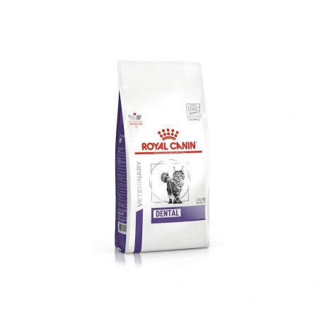 Dry Cat Food - ROYAL CANIN Dental 1.5kg Poultry