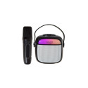 Karaoke Speaker - Adler AD 1199 Black with Microphone, SD/USB/AUX/Bluetooth