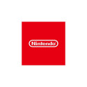 Nintendo NSW-0113 video game Standard English Nintendo Switch
