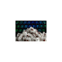 Glorious Gaming Gateron Brown Switches - Linear Silent