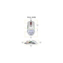 Glorious Gaming Glorious Model O Mouse Regular (White)