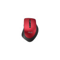 ASUS WT425 mouse Office Right-hand RF Wireless Optical 1600 DPI