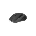 Defender ACCURA MM-362 mouse Office Right-hand USB Type-A Optical 1600 DPI