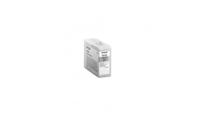 Epson Singlepack Light Light Black T850900