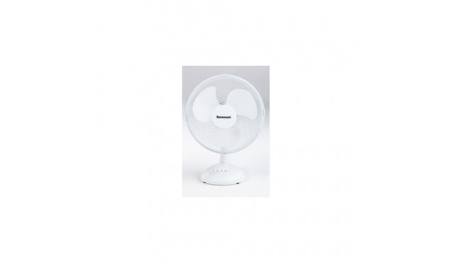 Ravanson WT-1030 household fan Grey, White
