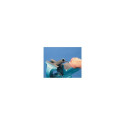 PFERD 11235257 file/rasp