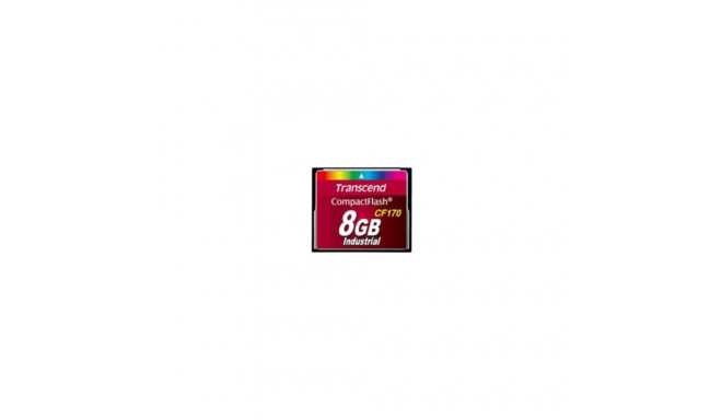 "CARD 8GB CF CARD (CF170)"