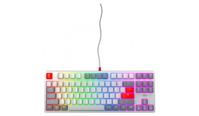 "CHERRY XTRFY K4V2 TKL keyboard. retro"