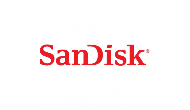 "STICK Sandisk ULTRA LUXE TYPE-C FLASH DRIVE"