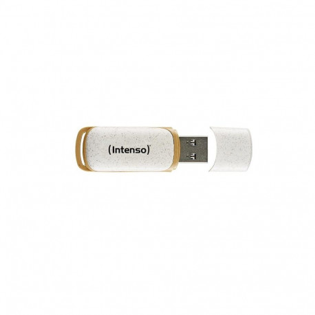 "STICK Intenso Green Line beige 64 GB"