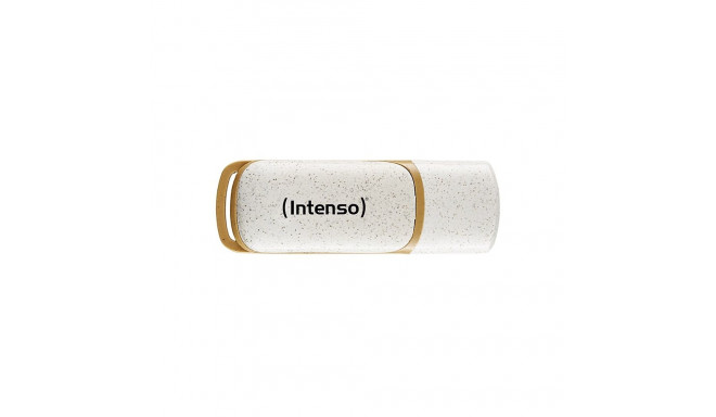"STICK Intenso Green Line beige 32 GB"