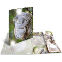 "HERMA Sammelmappe A4 Glossy Koala Polypropylen"