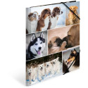 "HERMA Sammelmappe A4 Hunde Pappe"
