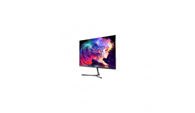 "Chiq 24F650 24"" 60cm 16:9 100Hz 1920x1080 black"