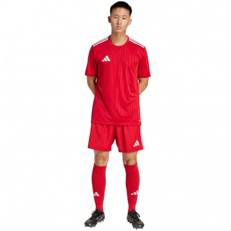 adidas meeste lühikesed püksid Tastigo 25 JN7157 2XL, punane