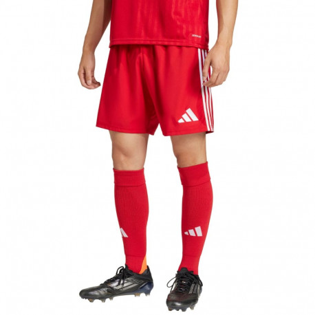 adidas meeste lühikesed püksid Tastigo 25 JN7157 S, punane