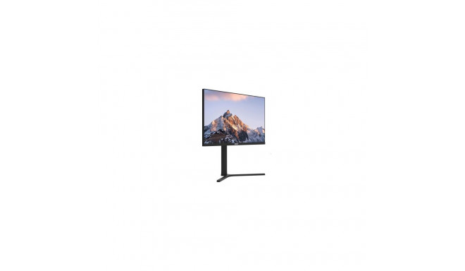 LCD Monitor DAHUA DHI-LM24-B201A 23.8" äripaneel IPS 1920x1080 100Hz 5 ms värv must LM24-B201A
