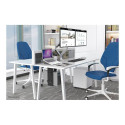 NEWSTAR NeoMounts CPU Holder H 30-53cm/W