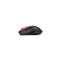 Asus | WT425 | Mouse | wireless | Red