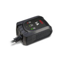 regenereeriv alaldi mikroprotsessoriga AEG 1.0 12V, 1A