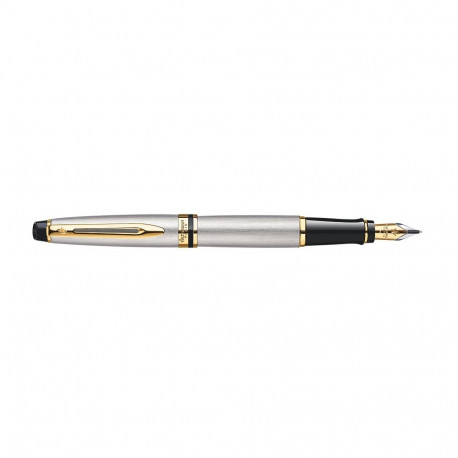 Waterman Expert sulepea
