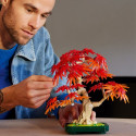 Klocki Botanicals 10348 Klon palmowy bonsai