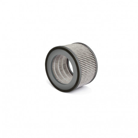 AirFresh Clean 300 filter